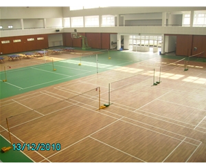 運(yùn)動場館